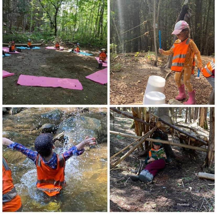 Kids explore forest